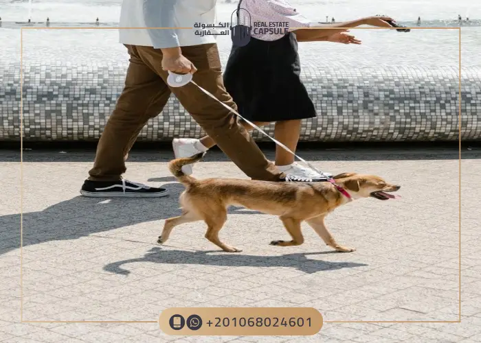 خدمات قرية داون تاون العلمين