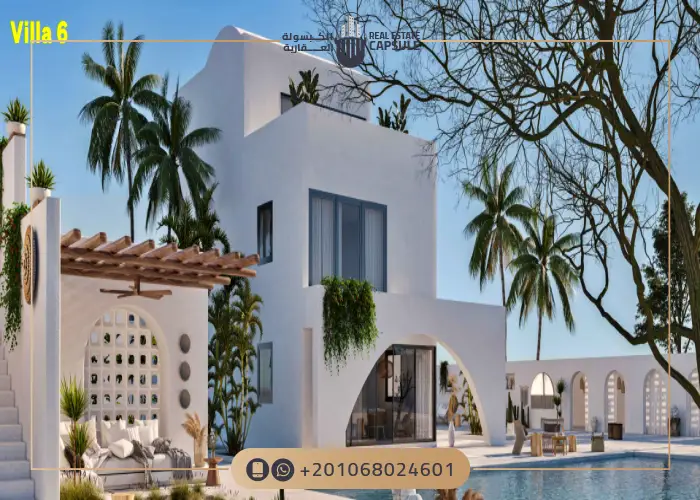سولت راس الحكمة