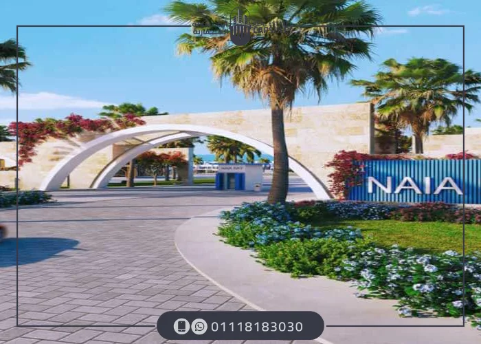 نايا باي راس الحكمة