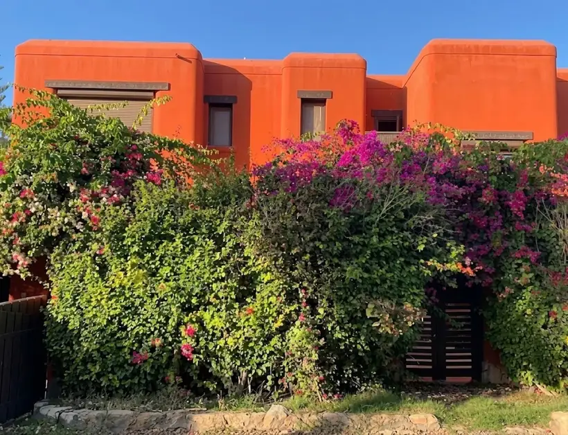 Hacienda Red Village North Coast Palm Hills