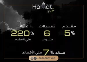 مول ذا لينك العاصمة الإدارية Mall Zalink New Capital 2025
