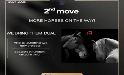 مول سيلين التجمع الخامس Mall Cellen New Cairo أسعار 2026