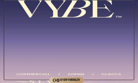 مول فايب التجمع الخامس Mall Vybe New Cairo اسعار وتفاصيل