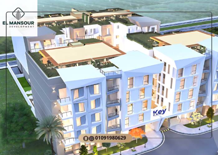 شركة El Mansour Development