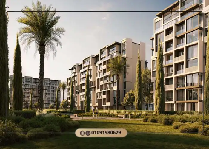 maliv new cairo
